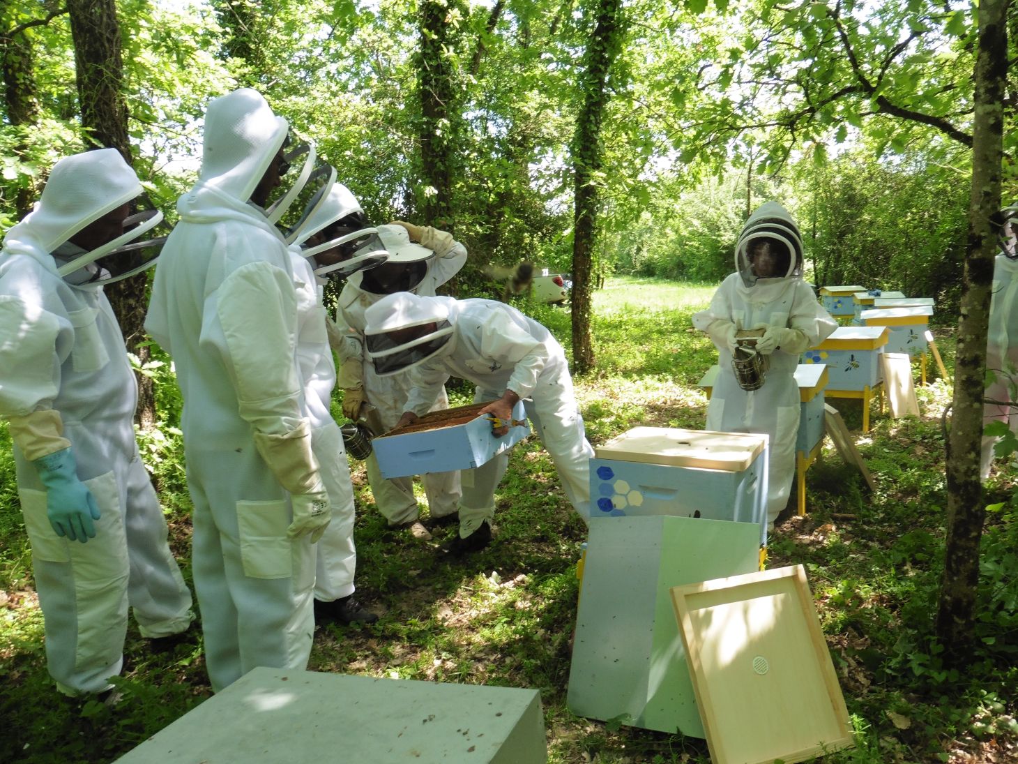 En atelier apiculture